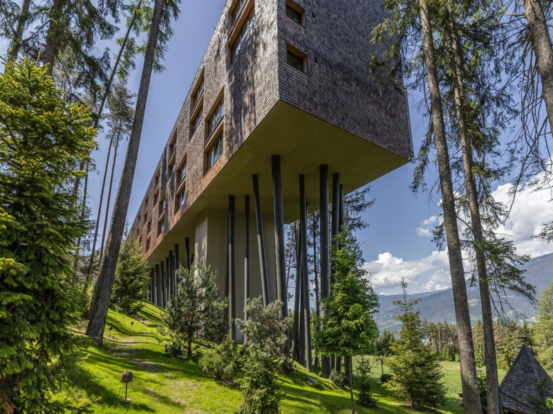 My Arbor Wellness Hotel