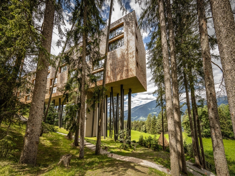 My Arbor Wellness Hotel
